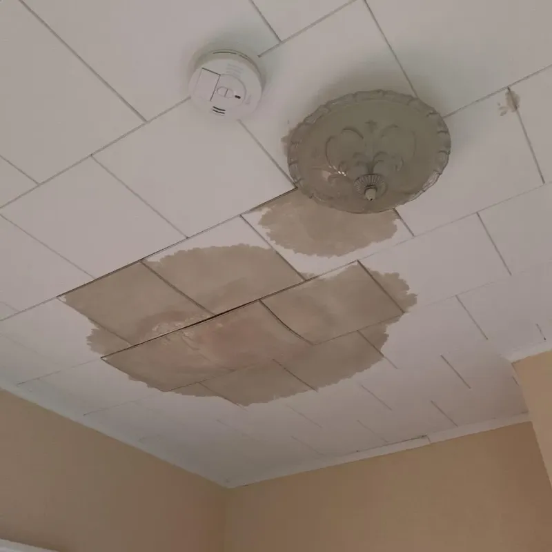 Ceiling Water Damage Repair in Atlantic Beach, NC